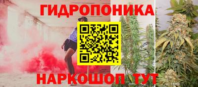 jwh Кимры