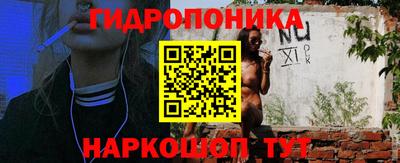дурь Кингисепп