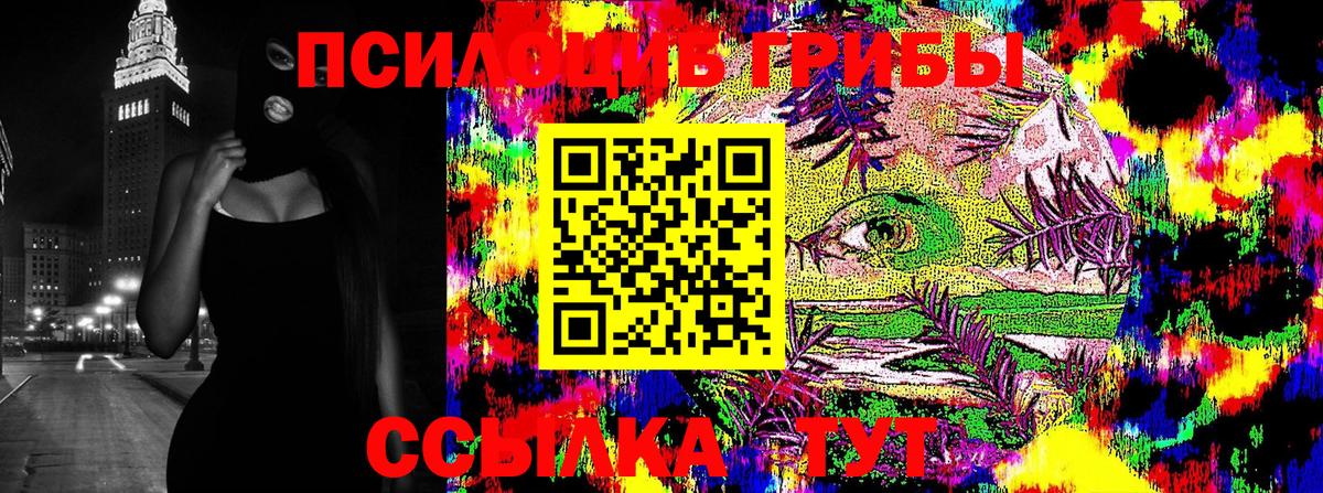 Галлюциногенные грибы мицелий Котовск