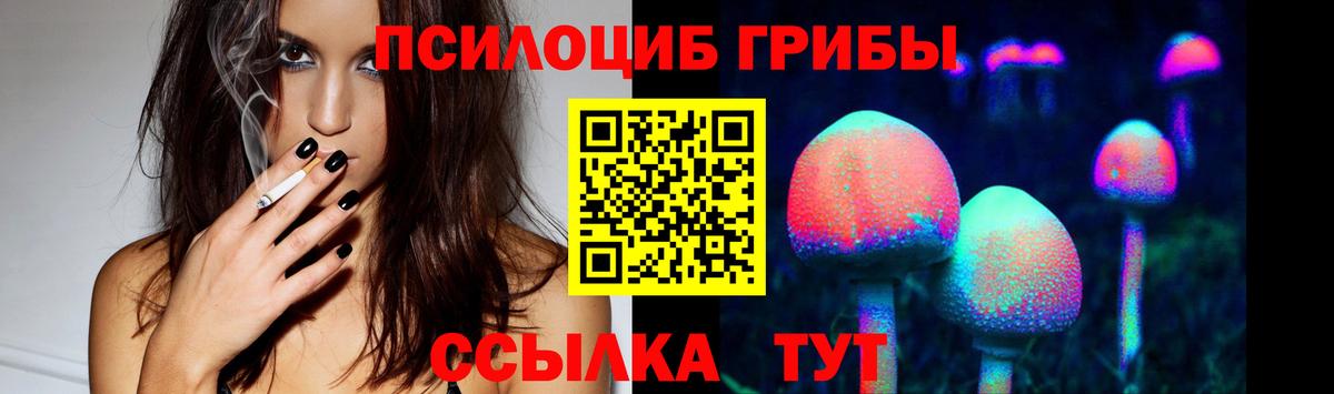 Галлюциногенные грибы Psilocybe  Вход с VPN  Котовск 